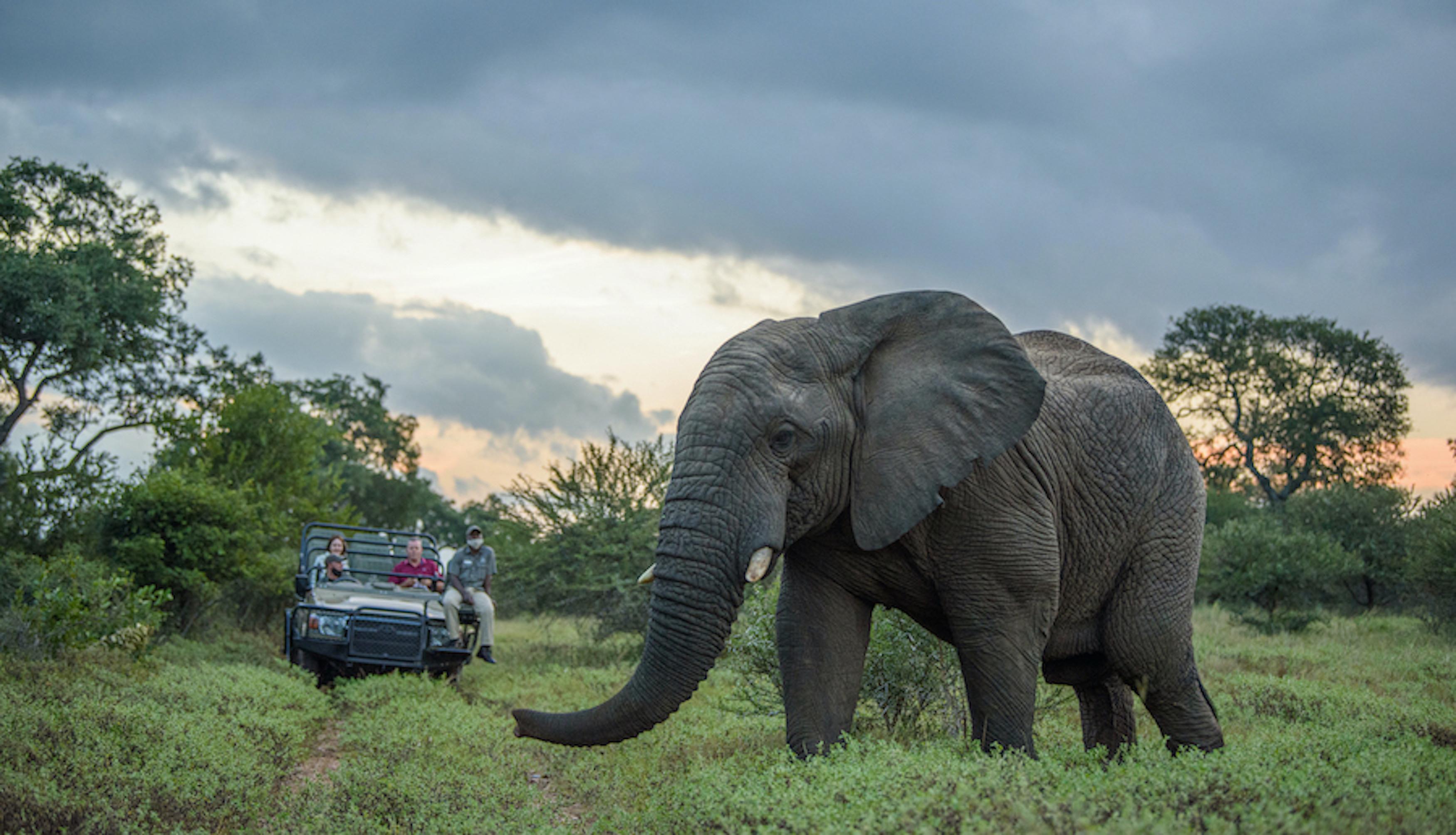 Kapama Buffalo Camp Kapama Game Reserve Ngoại thất bức ảnh