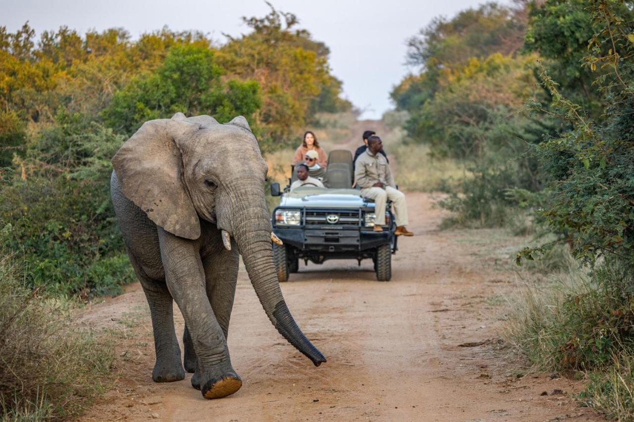 Kapama Buffalo Camp Kapama Game Reserve Ngoại thất bức ảnh
